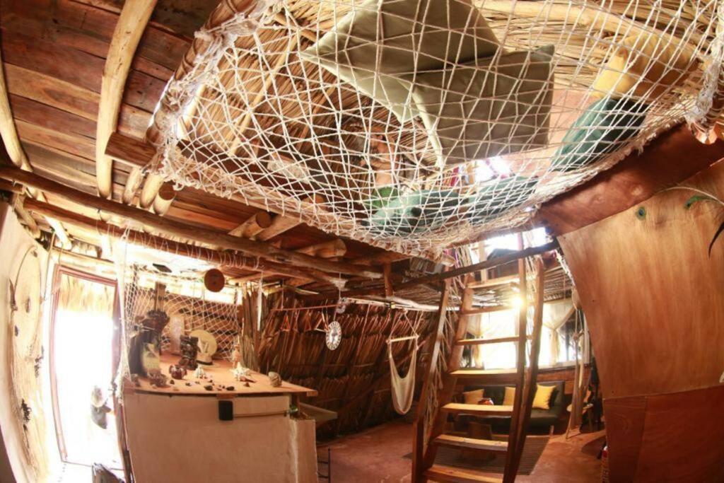 Appartement Jungla Bacalar Extérieur photo