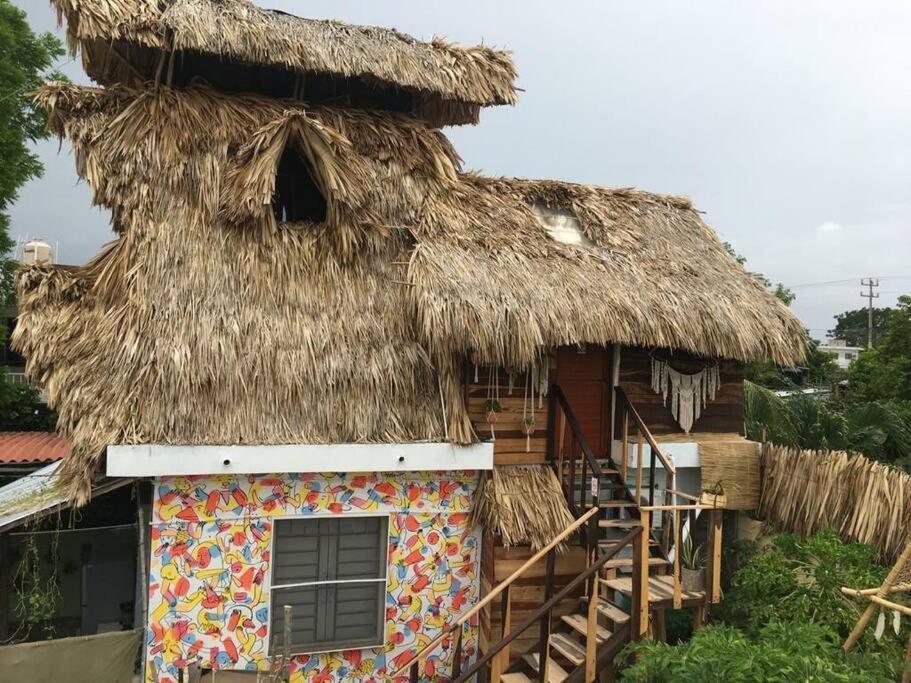 Appartement Jungla Bacalar Extérieur photo