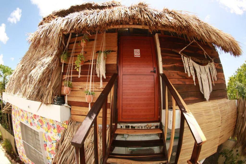 Appartement Jungla Bacalar Extérieur photo