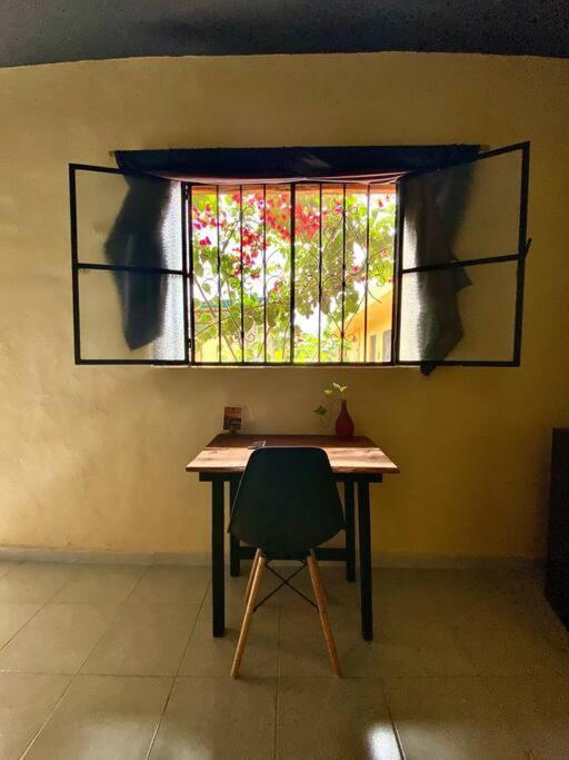 Appartement Jungla Bacalar Extérieur photo