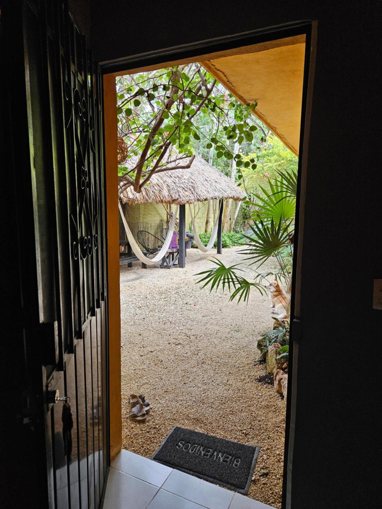 Appartement Jungla Bacalar Extérieur photo