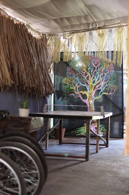 Appartement Jungla Bacalar Extérieur photo