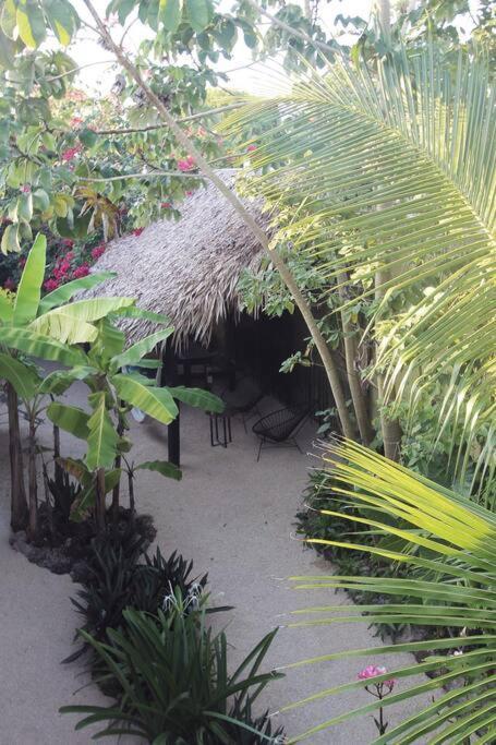 Appartement Jungla Bacalar Extérieur photo