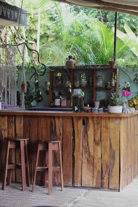 Appartement Jungla Bacalar Extérieur photo