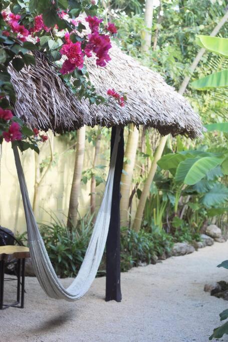 Appartement Jungla Bacalar Extérieur photo