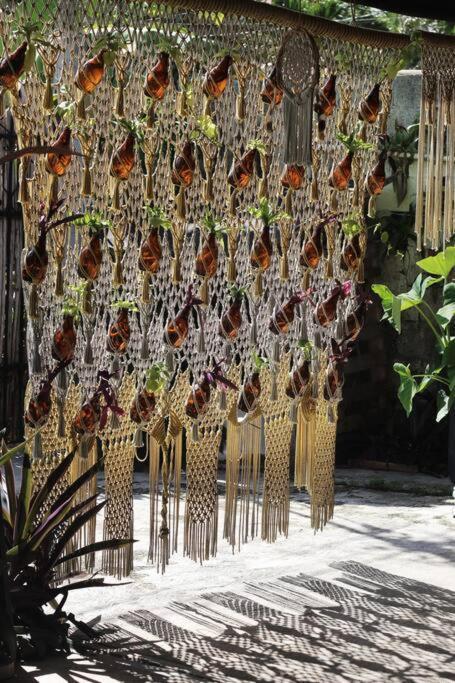 Appartement Jungla Bacalar Extérieur photo