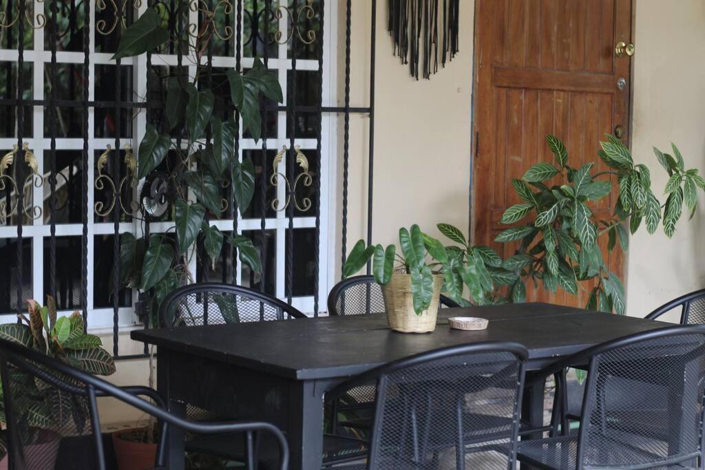 Appartement Jungla Bacalar Extérieur photo