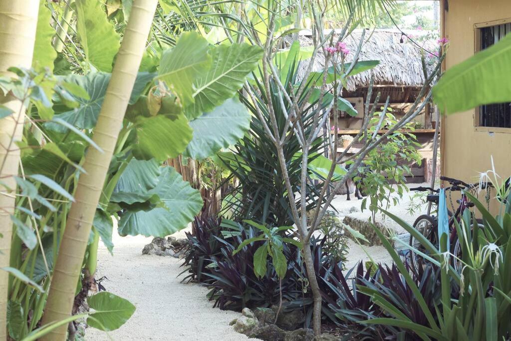 Appartement Jungla Bacalar Extérieur photo