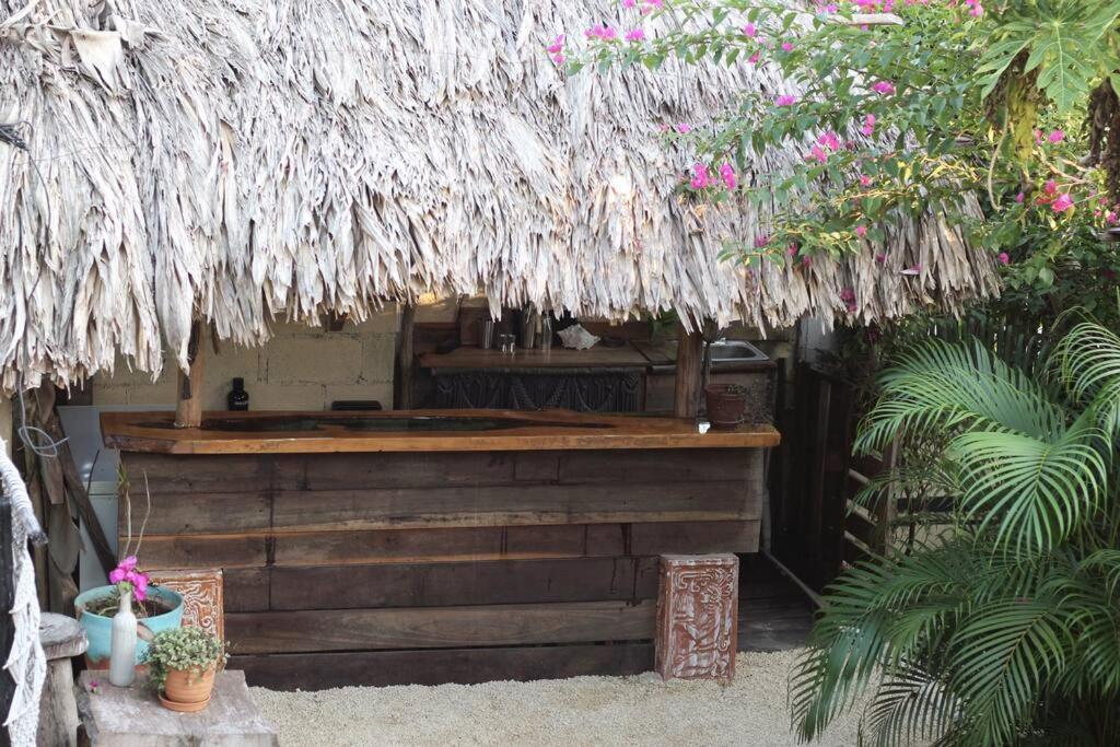 Appartement Jungla Bacalar Extérieur photo