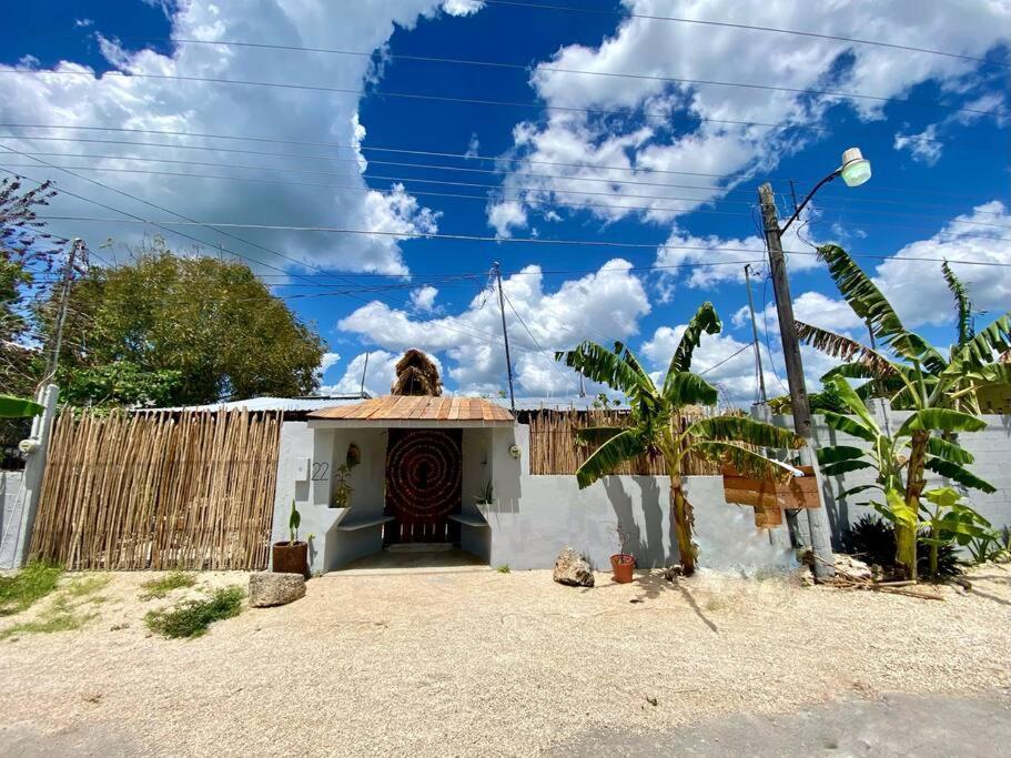 Appartement Jungla Bacalar Extérieur photo